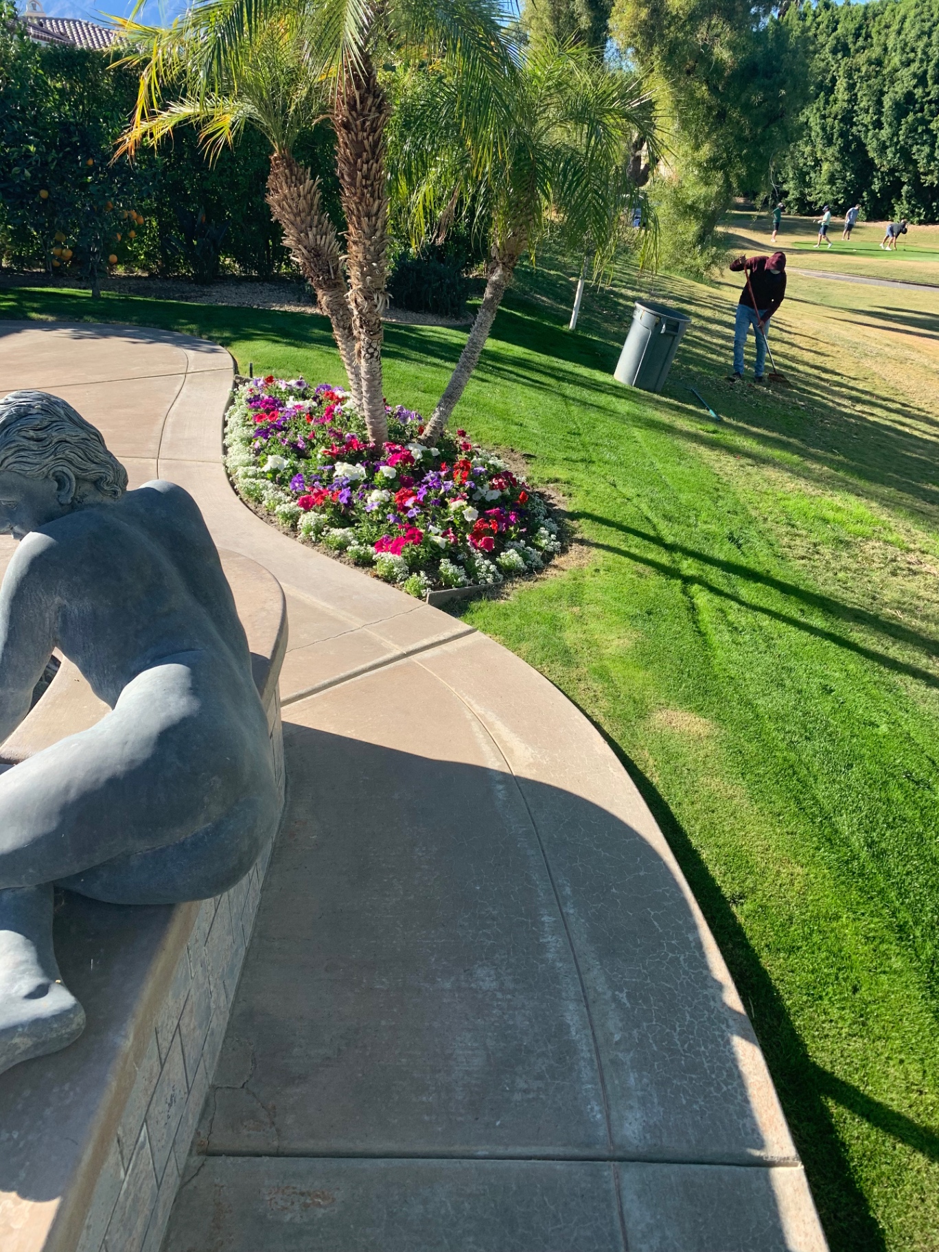 Manicured emerald lawn with palm-shaded flower bed on a Coachella Valley estate